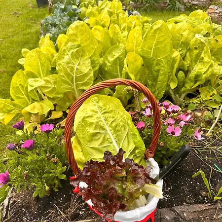 Сasa de vacaciones Casa La Limonera Santiago Del Monte